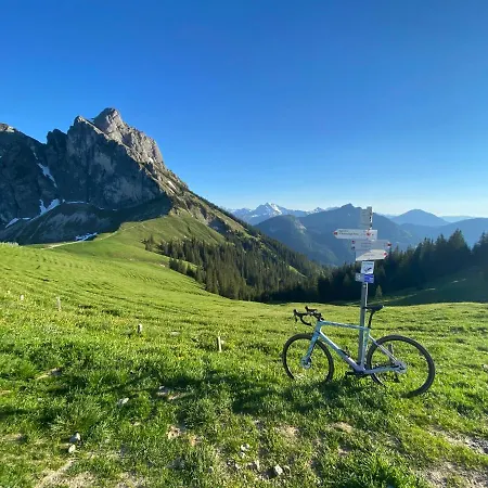 Apartment Naehe Weissensee Balkon I Bergblick I Hund 福森