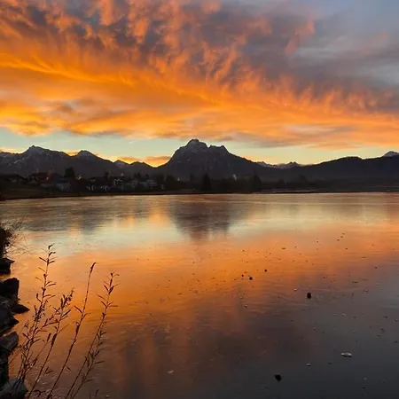 Butler Family & Friends Mit Hund アパート フュッセン