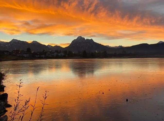 Butler Family & Friends Mit Hund Appartement Füssen